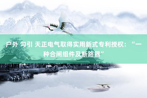 户外 勾引 天正电气取得实用新式专利授权：“一种合闸组件及断路器”