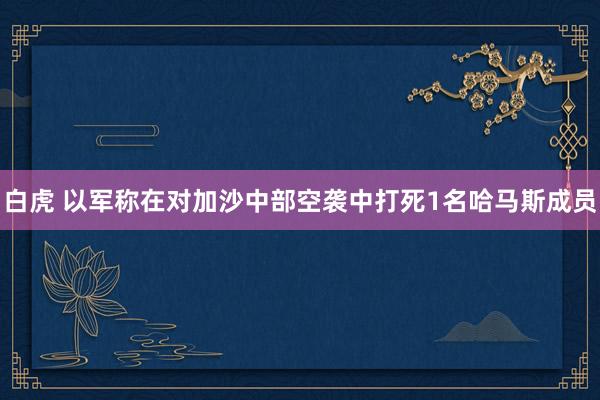白虎 以军称在对加沙中部空袭中打死1名哈马斯成员