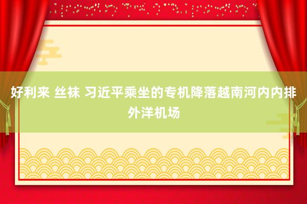 好利来 丝袜 习近平乘坐的专机降落越南河内内排外洋机场