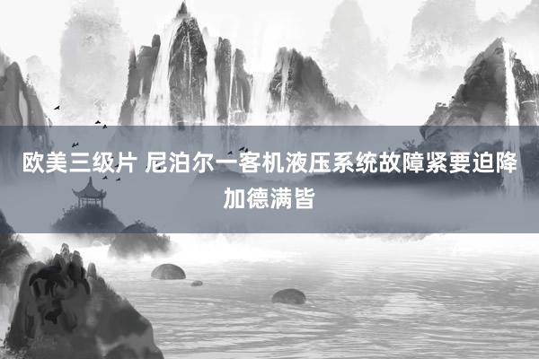 欧美三级片 尼泊尔一客机液压系统故障紧要迫降加德满皆