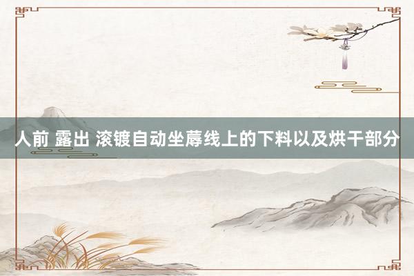 人前 露出 滚镀自动坐蓐线上的下料以及烘干部分