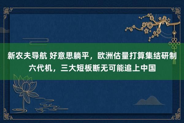 新农夫导航 好意思躺平，欧洲估量打算集结研制六代机，三大短板断无可能追上中国