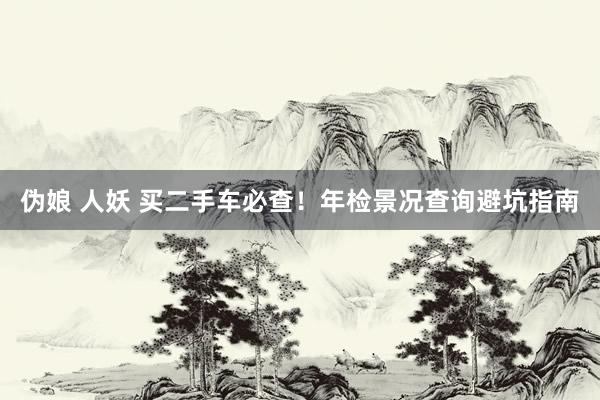 伪娘 人妖 买二手车必查！年检景况查询避坑指南