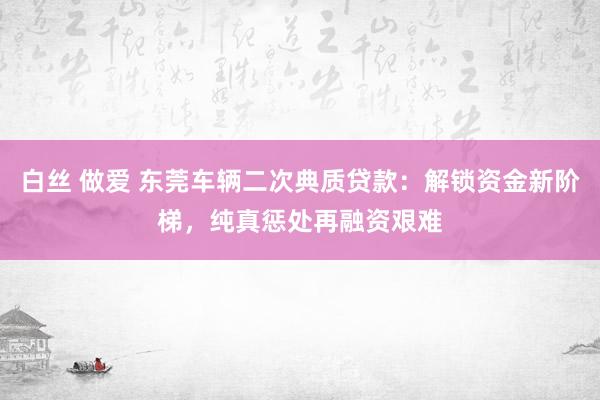 白丝 做爱 东莞车辆二次典质贷款：解锁资金新阶梯，纯真惩处再融资艰难