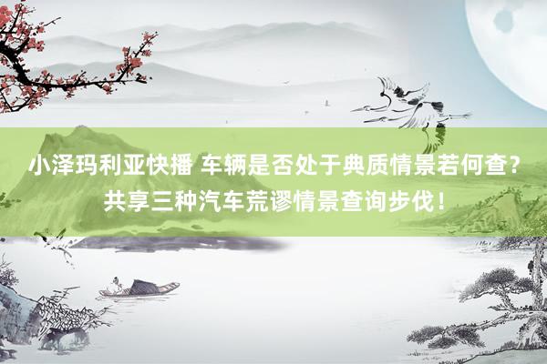 小泽玛利亚快播 车辆是否处于典质情景若何查？共享三种汽车荒谬情景查询步伐！