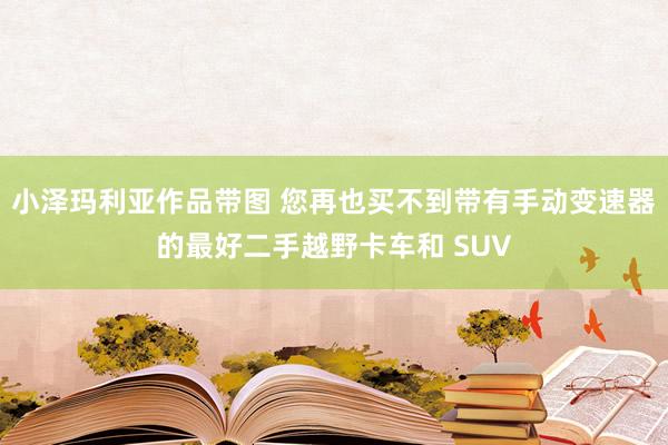 小泽玛利亚作品带图 您再也买不到带有手动变速器的最好二手越野卡车和 SUV