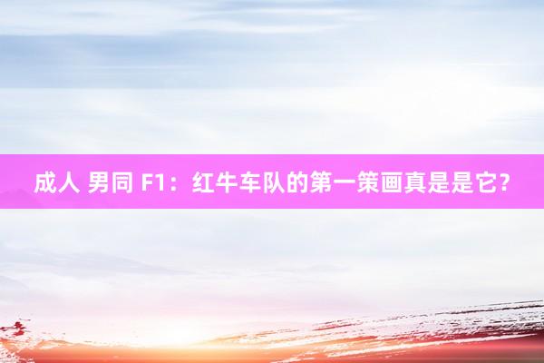 成人 男同 F1：红牛车队的第一策画真是是它？