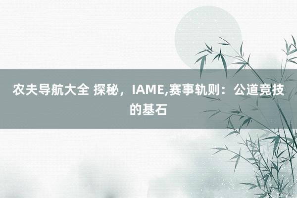 农夫导航大全 探秘，IAME,赛事轨则：公道竞技的基石