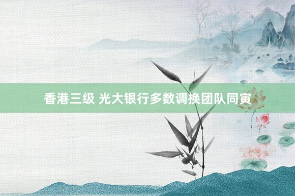 香港三级 光大银行多数调换团队同寅