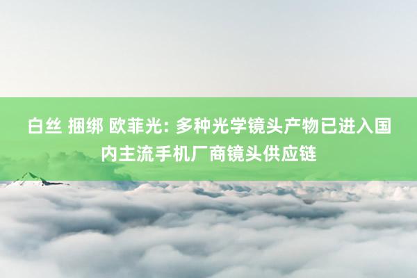 白丝 捆绑 欧菲光: 多种光学镜头产物已进入国内主流手机厂商镜头供应链