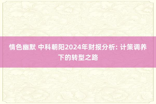 情色幽默 中科朝阳2024年财报分析: 计策调养下的转型之路
