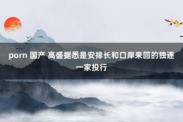 porn 国产 高盛据悉是安排长和口岸来回的独逐一家投行