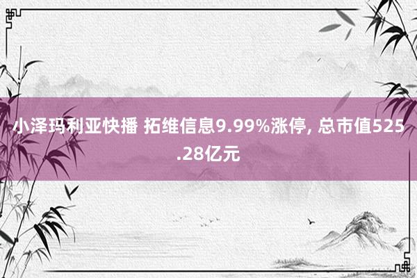 小泽玛利亚快播 拓维信息9.99%涨停, 总市值525.28亿元