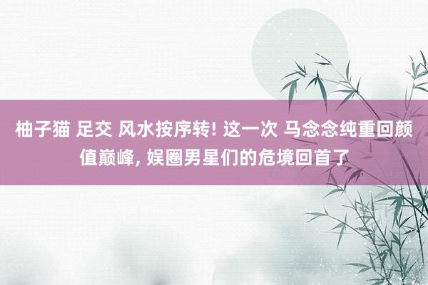 柚子猫 足交 风水按序转! 这一次 马念念纯重回颜值巅峰, 娱圈男星们的危境回首了