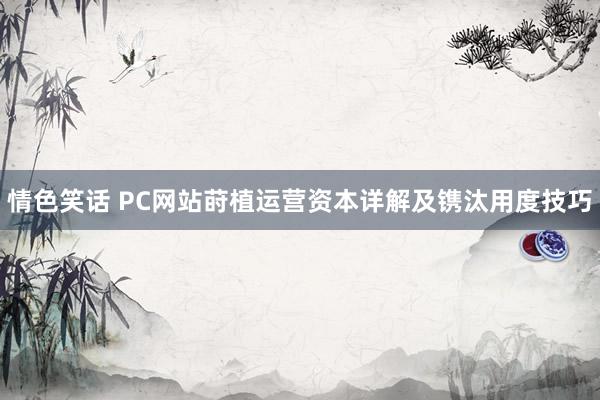 情色笑话 PC网站莳植运营资本详解及镌汰用度技巧