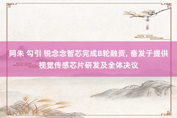 阿朱 勾引 锐念念智芯完成B轮融资, 奋发于提供视觉传感芯片研发及全体决议