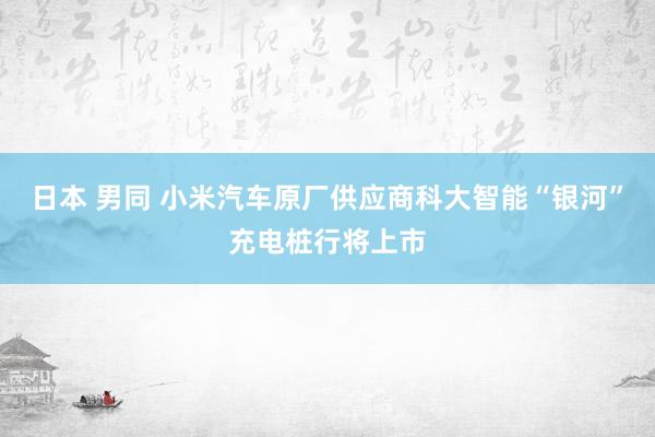 日本 男同 小米汽车原厂供应商科大智能“银河”充电桩行将上市