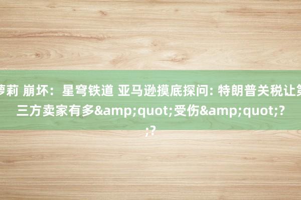 萝莉 崩坏：星穹铁道 亚马逊摸底探问: 特朗普关税让第三方卖家有多&quot;受伤&quot;?