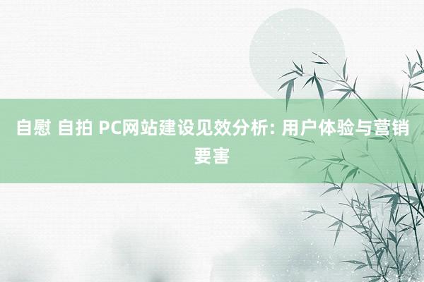 自慰 自拍 PC网站建设见效分析: 用户体验与营销要害