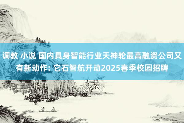 调教 小说 国内具身智能行业天神轮最高融资公司又有新动作: 它石智航开动2025春季校园招聘