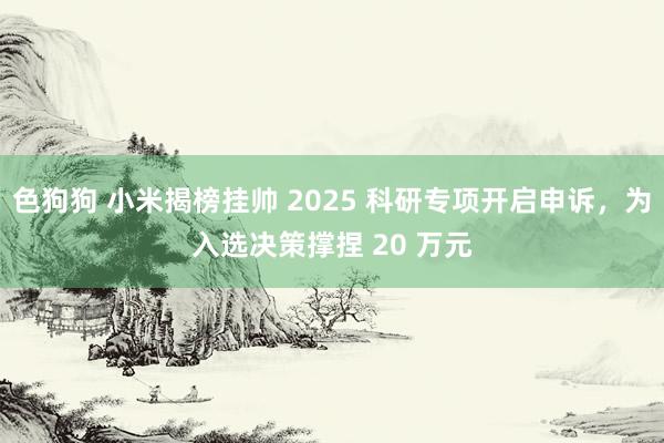 色狗狗 小米揭榜挂帅 2025 科研专项开启申诉，为入选决策撑捏 20 万元
