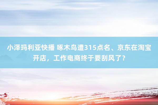 小泽玛利亚快播 啄木鸟遭315点名、京东在淘宝开店，工作电商终于要刮风了？