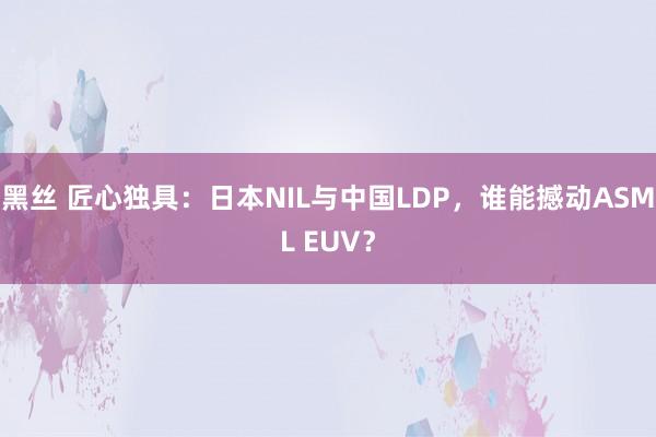 黑丝 匠心独具：日本NIL与中国LDP，谁能撼动ASML EUV？
